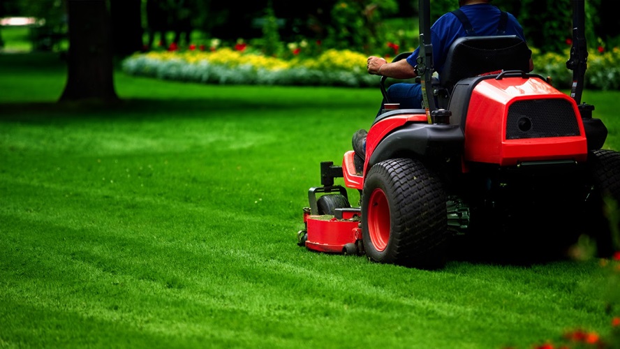 Yard Perfection: Expert Tips for Effective Maintenance Services